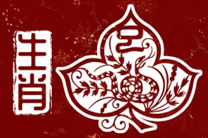 2025年属什么生肖？2025年是什么年？